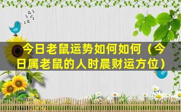 今日老鼠运势如何如何（今日属老鼠的人时晨财运方位）