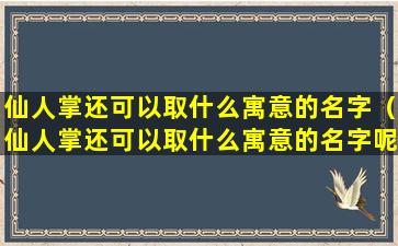 仙人掌还可以取什么寓意的名字（仙人掌还可以取什么寓意的名字呢）