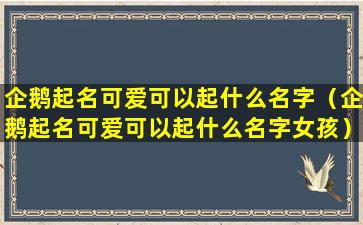 企鹅起名可爱可以起什么名字（企鹅起名可爱可以起什么名字女孩）