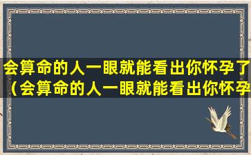 会算命的人一眼就能看出你怀孕了（会算命的人一眼就能看出你怀孕了嘛）