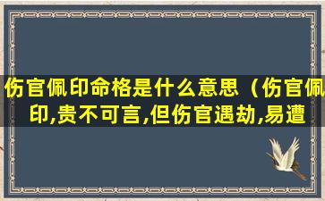 伤官佩印命格是什么意思（伤官佩印,贵不可言,但伤官遇劫,易遭小人陷害）