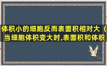 体积小的细胞反而表面积相对大（当细胞体积变大时,表面积和体积之比会发生什么变化）