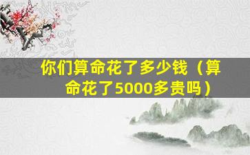 你们算命花了多少钱（算命花了5000多贵吗）