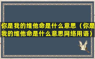 你是我的维他命是什么意思（你是我的维他命是什么意思网络用语）