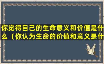 你觉得自己的生命意义和价值是什么（你认为生命的价值和意义是什么(不少于200字)）