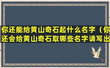 你还能给黄山奇石起什么名字（你还会给黄山奇石取哪些名字请写出两个吧）