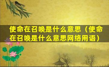 使命在召唤是什么意思（使命在召唤是什么意思网络用语）