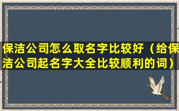 保洁公司怎么取名字比较好（给保洁公司起名字大全比较顺利的词）