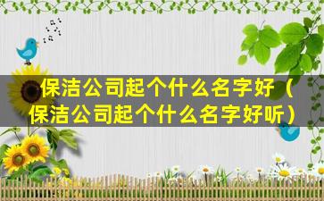 保洁公司起个什么名字好（保洁公司起个什么名字好听）