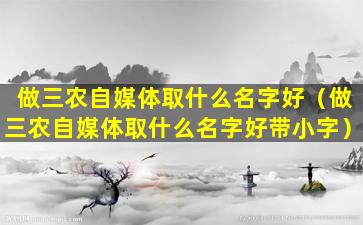 做三农自媒体取什么名字好（做三农自媒体取什么名字好带小字）