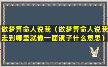 做梦算命人说我（做梦算命人说我走到哪里就像一面镜子什么意思）