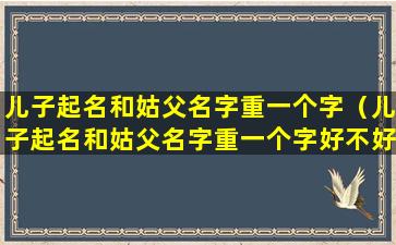 儿子起名和姑父名字重一个字（儿子起名和姑父名字重一个字好不好）