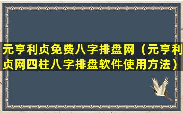 元亨利贞免费八字排盘网（元亨利贞网四柱八字排盘软件使用方法）