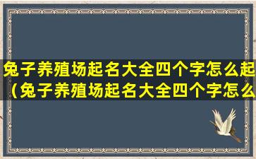 兔子养殖场起名大全四个字怎么起（兔子养殖场起名大全四个字怎么起好听）