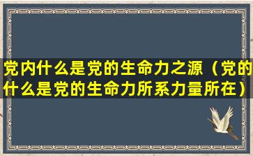 党内什么是党的生命力之源（党的什么是党的生命力所系力量所在）