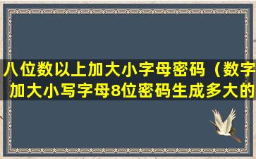 八位数以上加大小字母密码（数字加大小写字母8位密码生成多大的文件）