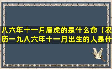 八六年十一月属虎的是什么命（农历一九八六年十一月出生的人是什么星座）