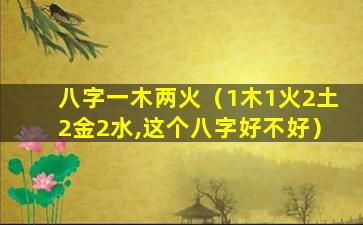 八字一木两火（1木1火2土2金2水,这个八字好不好）