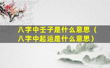 八字中壬子是什么意思（八字中起运是什么意思）