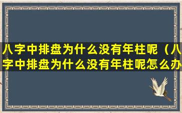 八字中排盘为什么没有年柱呢（八字中排盘为什么没有年柱呢怎么办）