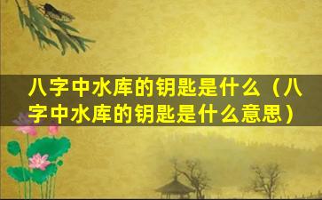 八字中水库的钥匙是什么（八字中水库的钥匙是什么意思）