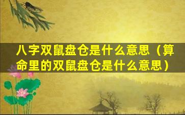 八字双鼠盘仓是什么意思（算命里的双鼠盘仓是什么意思）