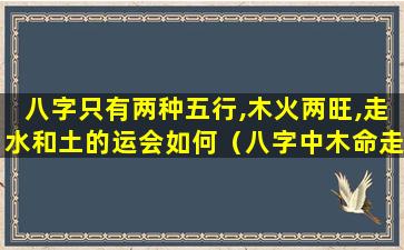 八字只有两种五行,木火两旺,走水和土的运会如何（八字中木命走火运会怎么样）