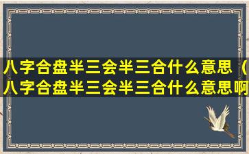 八字合盘半三会半三合什么意思（八字合盘半三会半三合什么意思啊）