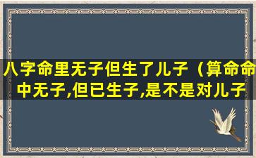 八字命里无子但生了儿子（算命命中无子,但已生子,是不是对儿子不好呢）