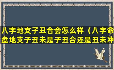 八字地支子丑合会怎么样（八字命盘地支子丑未是子丑合还是丑未冲）