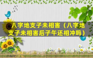 八字地支子未相害（八字地支子未相害后子午还相冲吗）