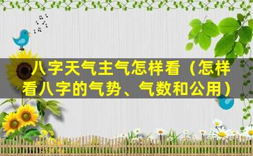 八字天气主气怎样看（怎样看八字的气势、气数和公用）