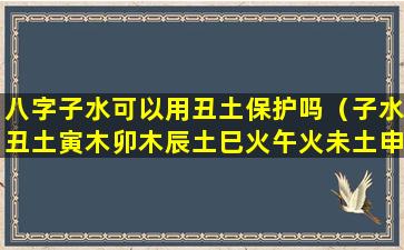 八字子水可以用丑土保护吗（子水丑土寅木卯木辰土巳火午火未土申金酉金戌土亥水）