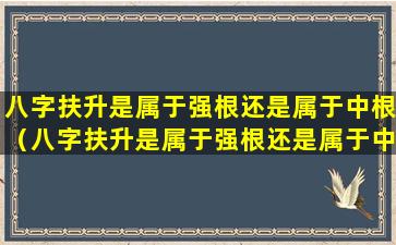 八字扶升是属于强根还是属于中根（八字扶升是属于强根还是属于中根呢）