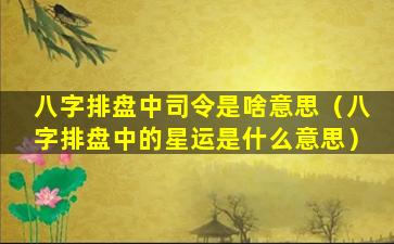 八字排盘中司令是啥意思（八字排盘中的星运是什么意思）