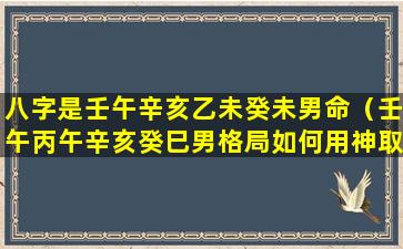 八字是壬午辛亥乙未癸未男命（壬午丙午辛亥癸巳男格局如何用神取什么）