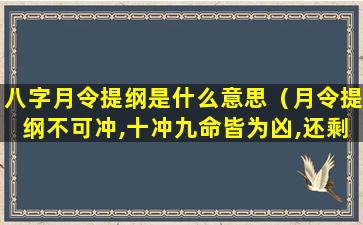 八字月令提纲是什么意思（月令提纲不可冲,十冲九命皆为凶,还剩下一命呢）