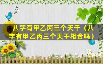 八字有甲乙丙三个天干（八字有甲乙丙三个天干相合吗）