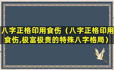 八字正格印用食伤（八字正格印用食伤,极富极贵的特殊八字格局）