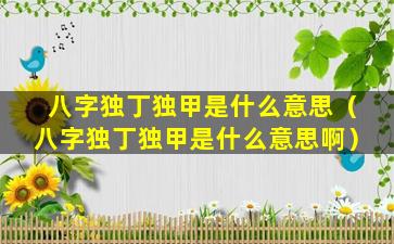 八字独丁独甲是什么意思（八字独丁独甲是什么意思啊）