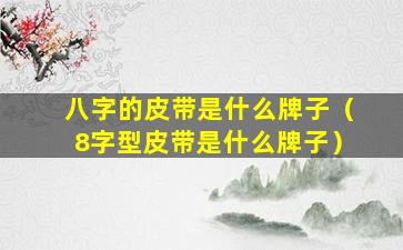 八字的皮带是什么牌子（8字型皮带是什么牌子）