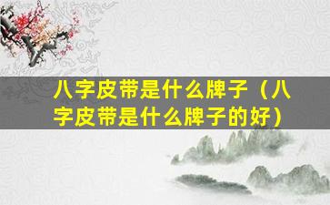 八字皮带是什么牌子（八字皮带是什么牌子的好）