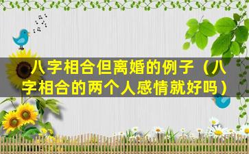 八字相合但离婚的例子（八字相合的两个人感情就好吗）