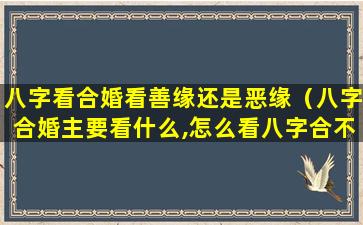 八字看合婚看善缘还是恶缘（八字合婚主要看什么,怎么看八字合不合）