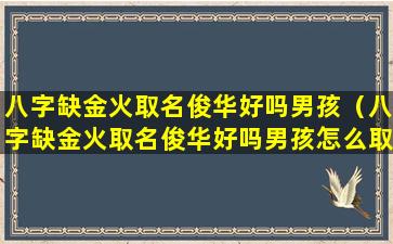 八字缺金火取名俊华好吗男孩（八字缺金火取名俊华好吗男孩怎么取）