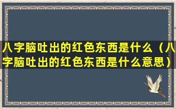 八字脑吐出的红色东西是什么（八字脑吐出的红色东西是什么意思）