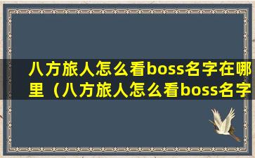 八方旅人怎么看boss名字在哪里（八方旅人怎么看boss名字在哪里显示）