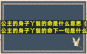 公主的身子丫鬟的命是什么意思（公主的身子丫鬟的命下一句是什么）