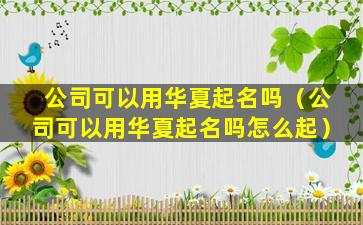 公司可以用华夏起名吗（公司可以用华夏起名吗怎么起）