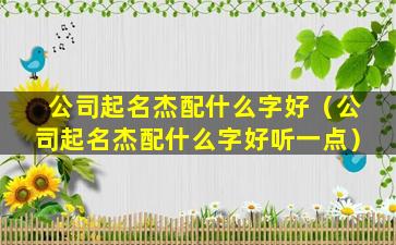 公司起名杰配什么字好（公司起名杰配什么字好听一点）